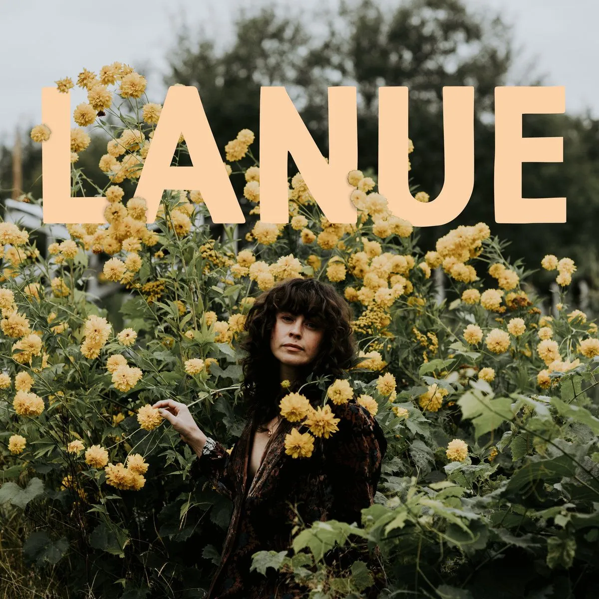 Album artwork for Lanue