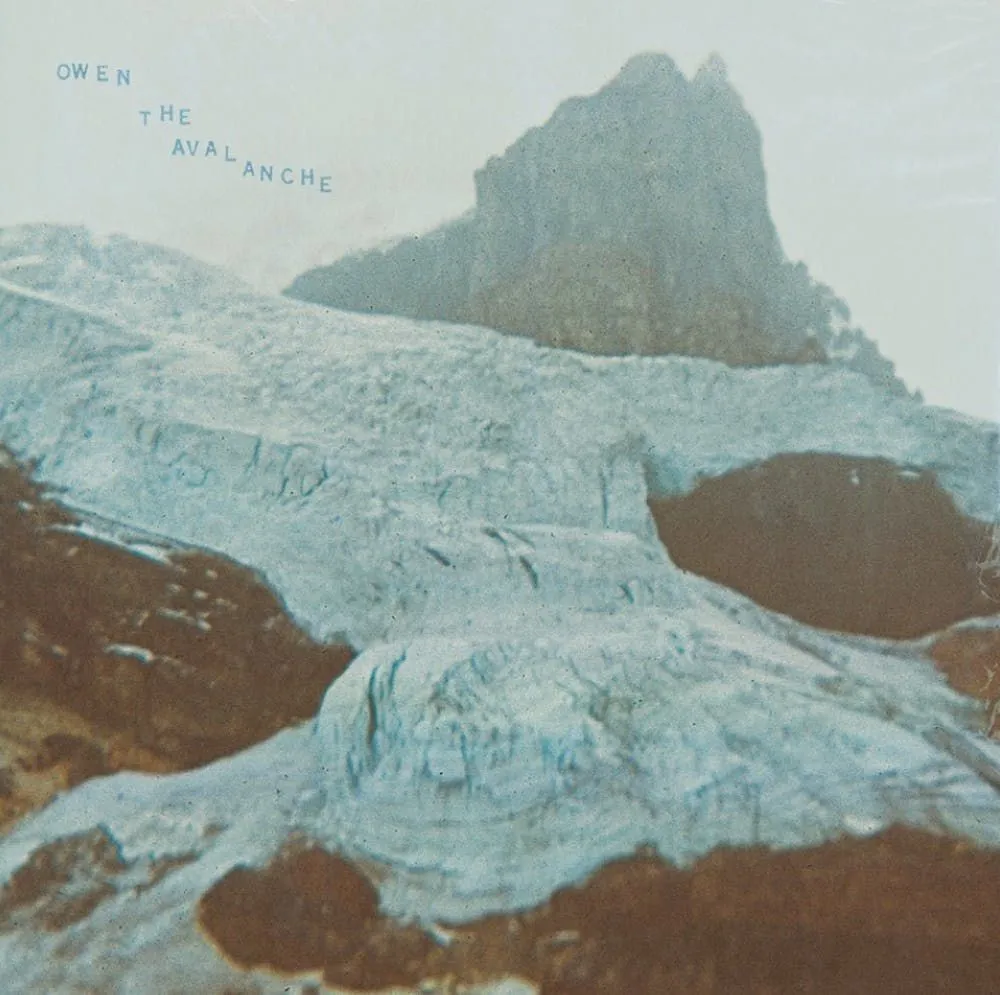 Album artwork for The Avalanche