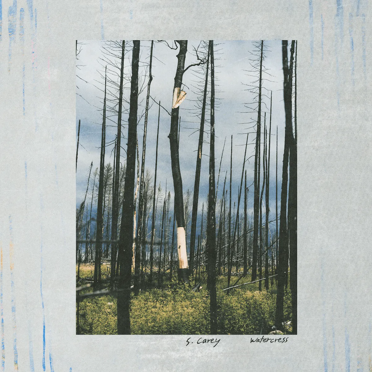 Album artwork for Watercress